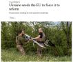 ‘Украина не торопится проводить необходимые для вступления в ЕС реформы
