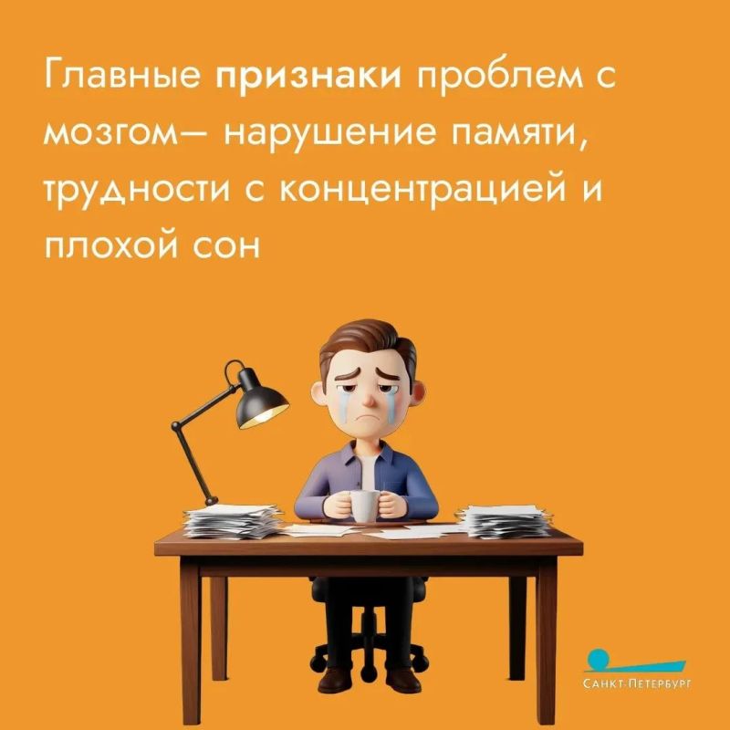 Физические тренировки улучшают кровоснабжение мозга, насыщая его кислородом и питательными веществами, что напрямую повышает концентрацию, память и скорость мышления Физические тренировки улучшают кровоснабжение мозга, насыщая его кислородом и питательными веществами, что напрямую повышает концентрацию, память и скорость мышления