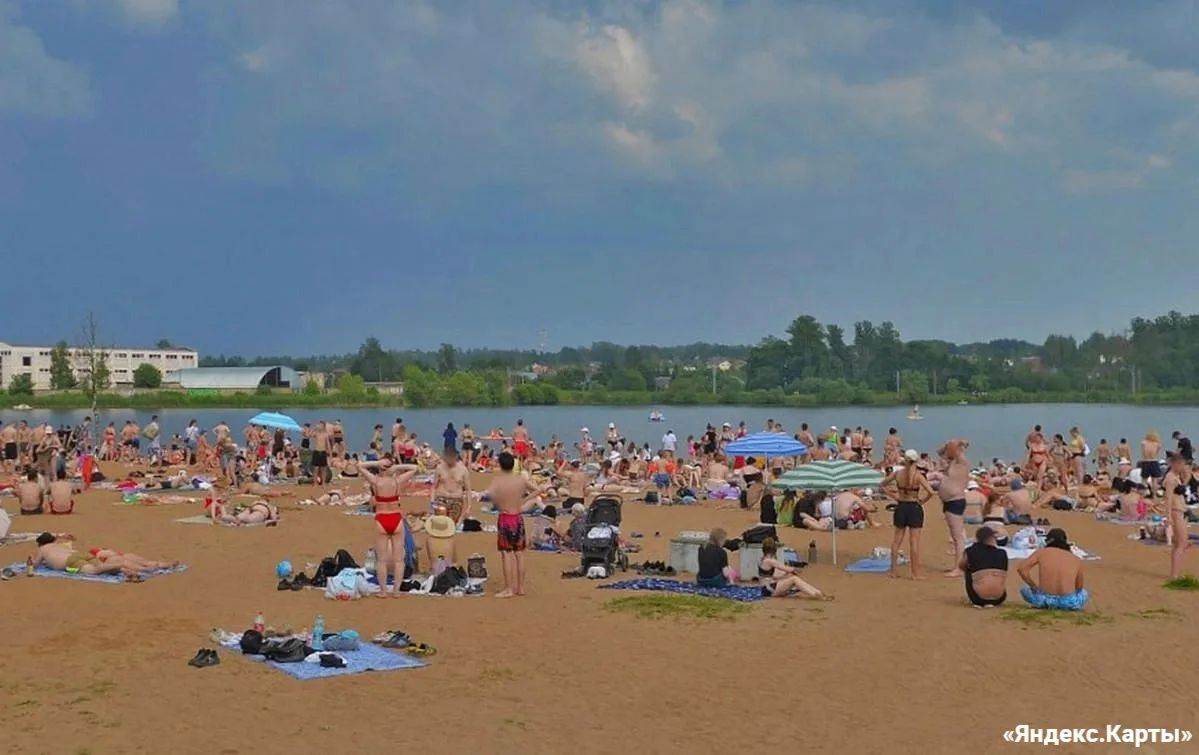 Безымянное озеро в Красносельском районе — один из немногих водоёмов Петербурга, где Роспотребнадзор разрешает купаться