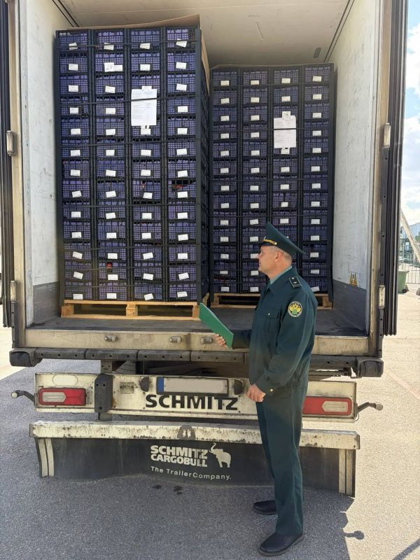 Свыше 17 тысяч тонн плодоовощной продукции ввезено в Санкт-Петербург автомобильным и ж/д транспортом с начала года Свыше 17 тысяч тонн плодоовощной продукции ввезено в Санкт-Петербург автомобильным и ж/д транспортом с начала года