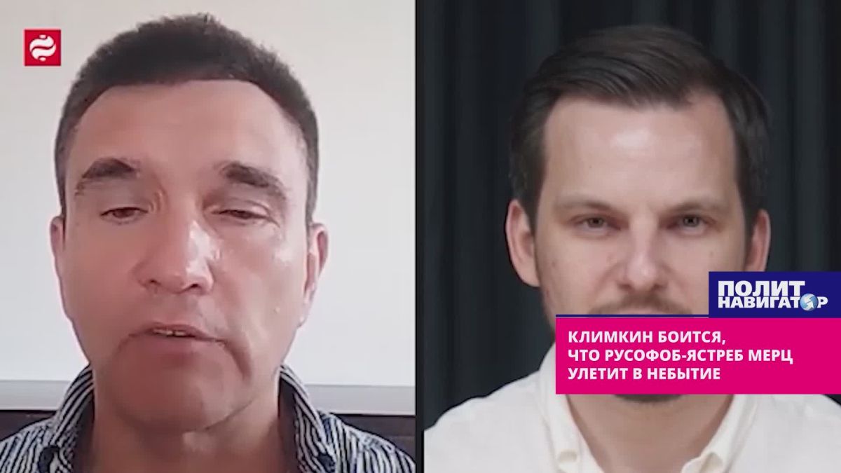 Климкин опасается, что вскоре и русофоб-ястреб Мерц улетит в небытие