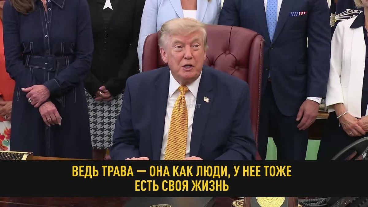 «Что касается газонов... ведь трава, она как люди, у неё тоже есть своя жизнь»