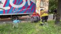 �� �� ����, ��� ����� ������: �������� ���������, ��� ���� ������� �� �����������������