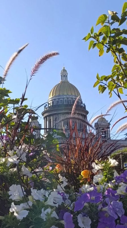 Доброе утро, Петербург! Сегодня уже среда — вторая половина недели подкралась незаметно