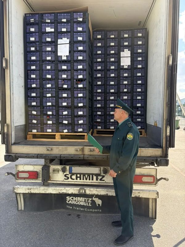 Свыше 17 тысяч тонн плодоовощной продукции ввезено в Санкт-Петербург автомобильным и ж/д транспортом с начала года Свыше 17 тысяч тонн плодоовощной продукции ввезено в Санкт-Петербург автомобильным и ж/д транспортом с начала года