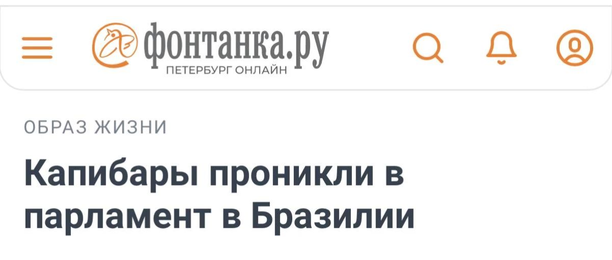 Под каким они номером в бюллетене?