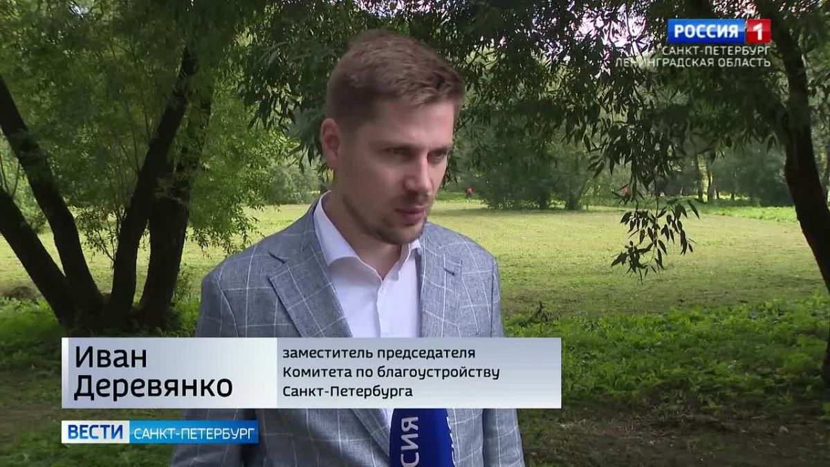 В Петербурге борьбу с борщевиком Сосновского ведёт искусственный интеллект