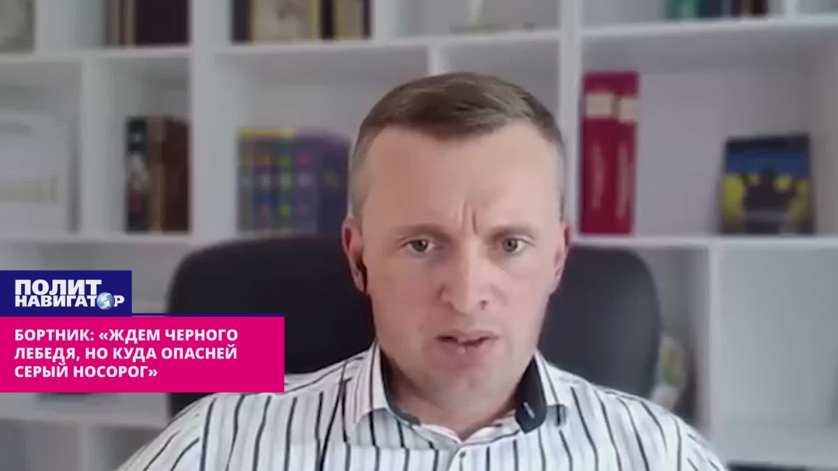 Бортник: «Ждём чёрного лебедя, но куда опаснее серый носорог»