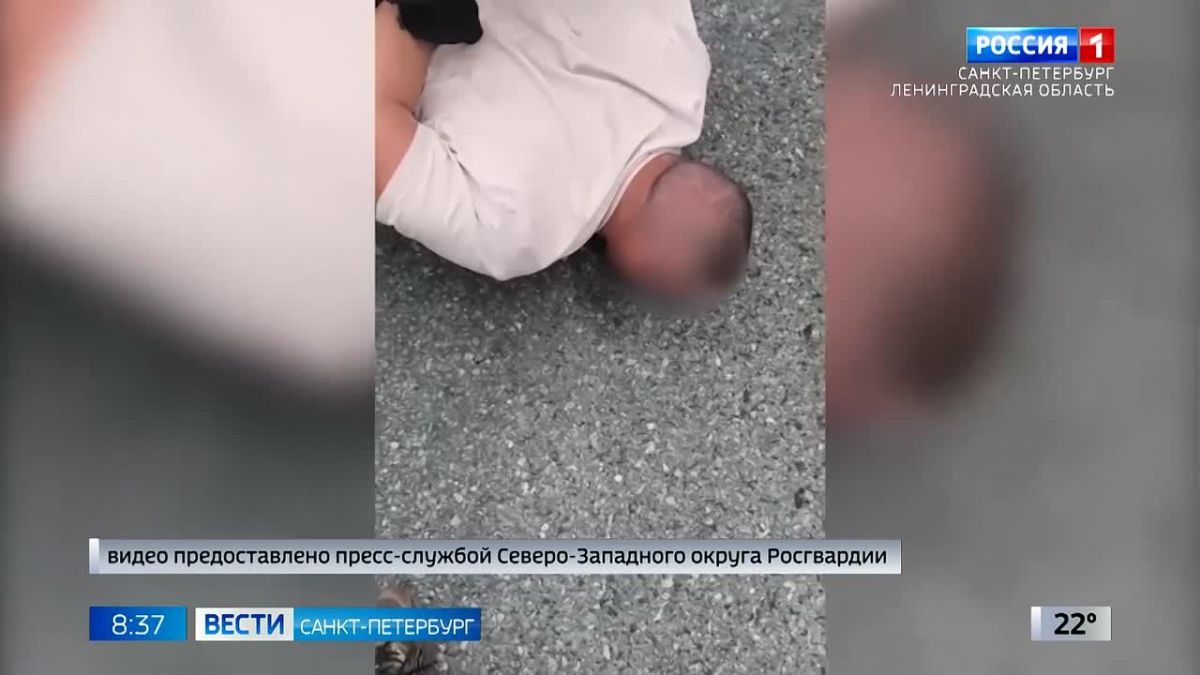7 килограммов наркотиков изъяли из автомобиля курьера на трассе М-8