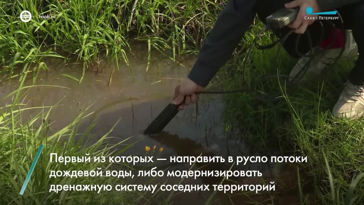 Проблему обмеления Муринского ручья подняли городские парламентарии
