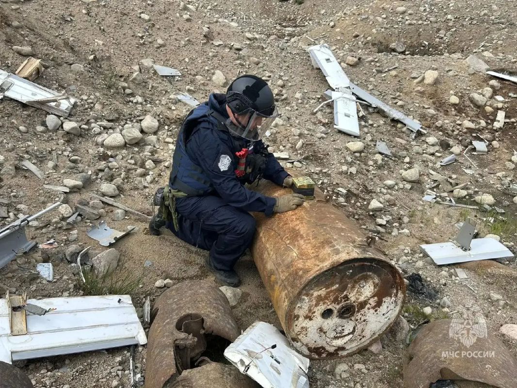 Снаряд времен Великой Отечественной войны обнаружили дайверы под водой неподалеку от Ломоносова Снаряд времен Великой Отечественной войны обнаружили дайверы под водой неподалеку от Ломоносова