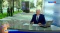 Задержан водитель грузовика, сбивший пенсионерку на Краснопутиловской улице