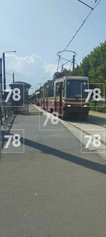 Трамваи выстроились от перекрёстка проспекта Культуры до проспекта Просвещения Трамваи выстроились от перекрёстка проспекта Культуры до проспекта Просвещения