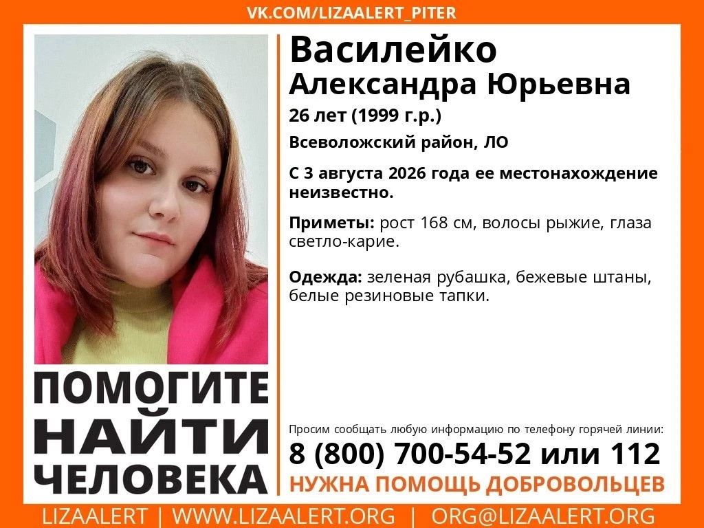 Девушку-поисковика ищут в лесу Ленобласти