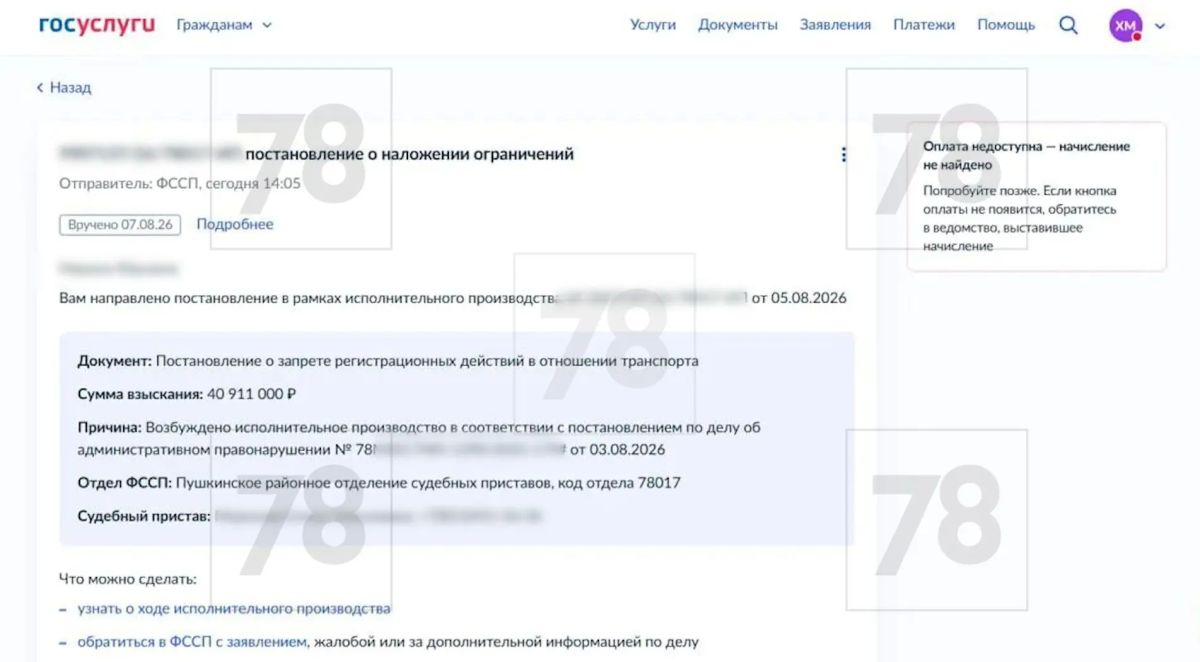 Штраф 40 млн рублей выставили петербурженке после неоплаченной парковки