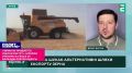 «Зерно не продаётся. Убытки растут»: аграрии Украины в ужасе от блокады портов Одессы