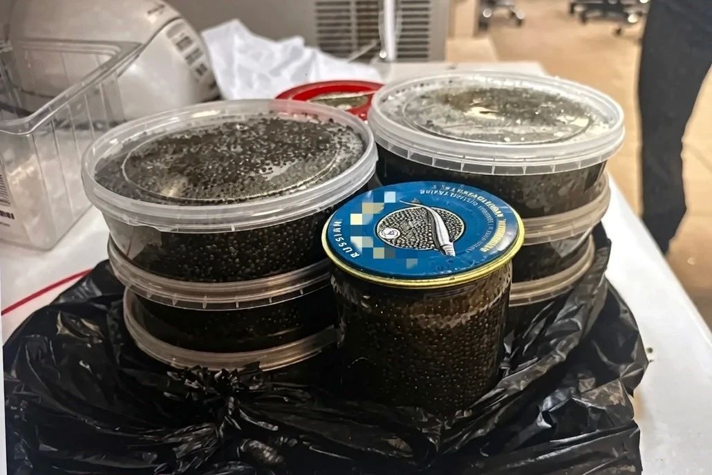 6,5 килограмма деликатеса довели петербуржца до суда 6,5 килограмма деликатеса довели петербуржца до суда