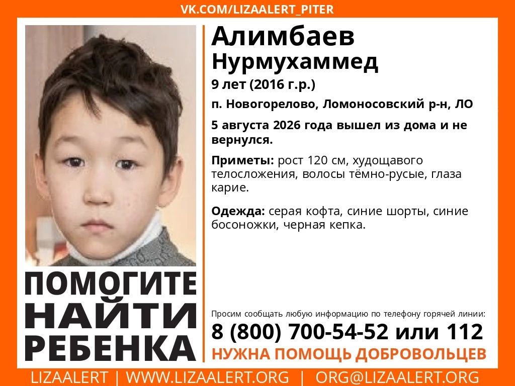 9-летнего мальчика уже два дня ищут в Ломоносовском районе