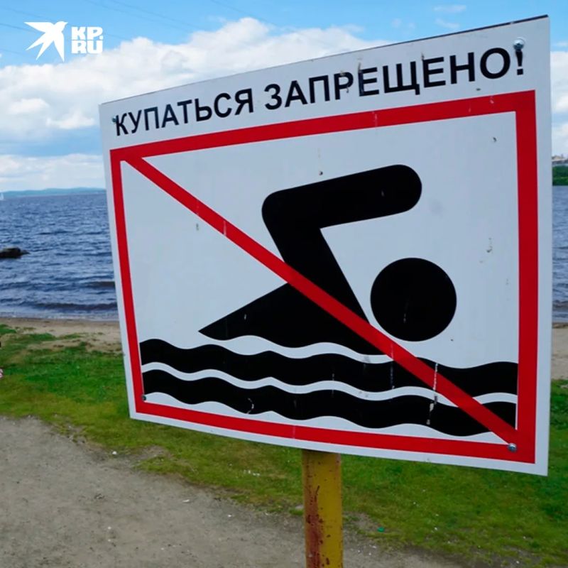 Поиски пропавшего под Петербургом 9-летнего мальчика завершились трагедией