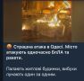 Михаил Онуфриенко: Сегодня ночью все каналы куевской хунты взахлёб голосили про "ад в Одессе"