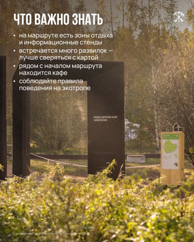 Не обязательно уезжать за город, чтобы оказаться среди соснового леса, полюбоваться рекой и понаблюдать за птицами Не обязательно уезжать за город, чтобы оказаться среди соснового леса, полюбоваться рекой и понаблюдать за птицами