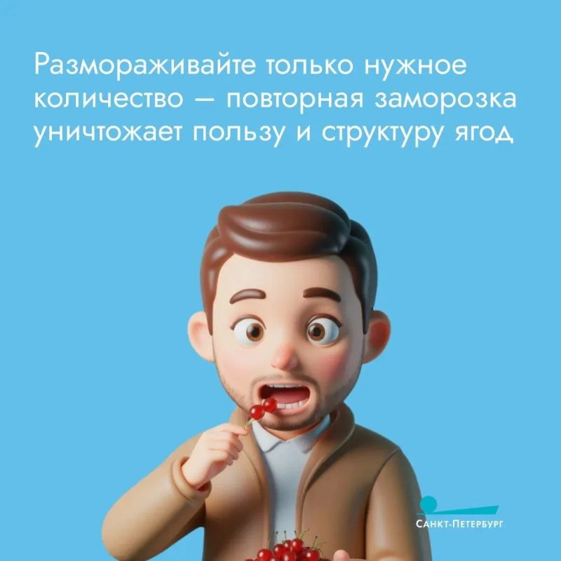 Смородину хочется не только употреблять, но и сохранить Смородину хочется не только употреблять, но и сохранить