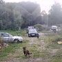 Мужчина в росгвардейской форме застрелил собаку на частной территории в Старо-Паново — хозяйка утверждает, что животное даже не коснулось его