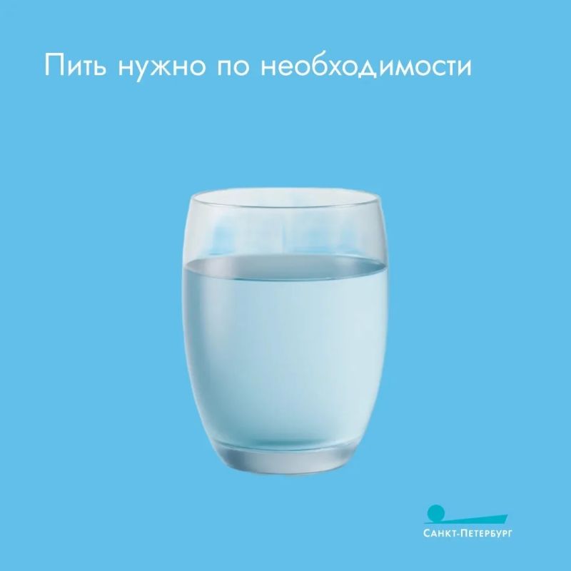 Пить? Или не пить? Разбираемся с мифами и фактами о нормах воды в сутки и умении прислушиваться к своему организму Пить? Или не пить? Разбираемся с мифами и фактами о нормах воды в сутки и умении прислушиваться к своему организму