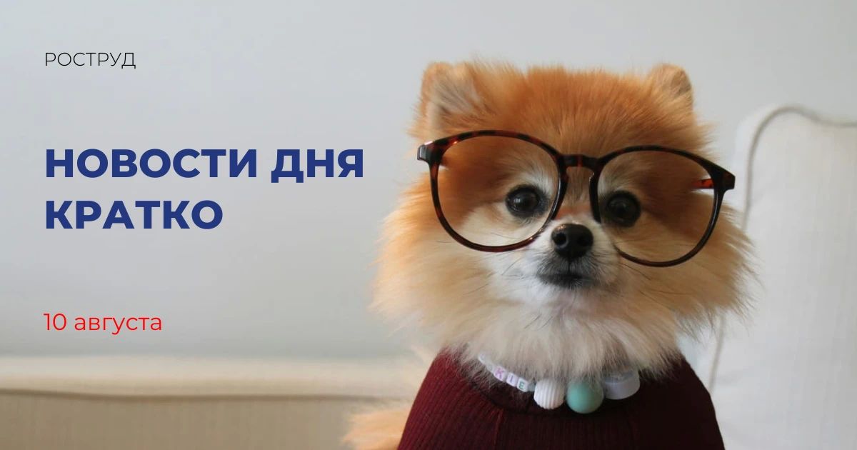 Федпроект «Формирование комфортной городской среды» позволил благоустроить порядка 120 тыс