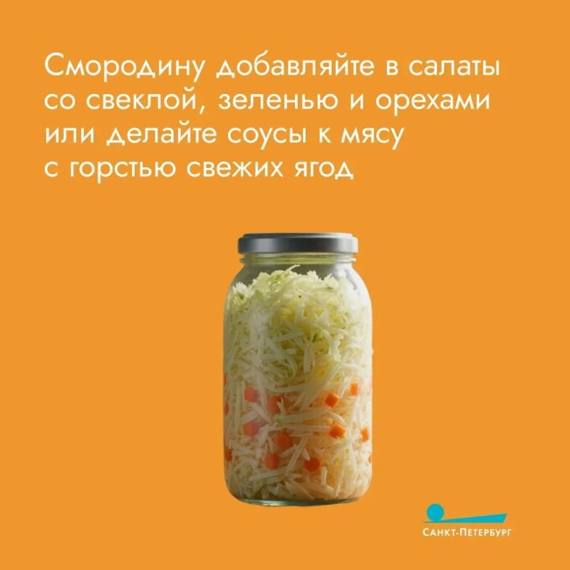 Смородину хочется не только употреблять, но и сохранить Смородину хочется не только употреблять, но и сохранить