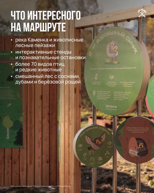 Не обязательно уезжать за город, чтобы оказаться среди соснового леса, полюбоваться рекой и понаблюдать за птицами Не обязательно уезжать за город, чтобы оказаться среди соснового леса, полюбоваться рекой и понаблюдать за птицами