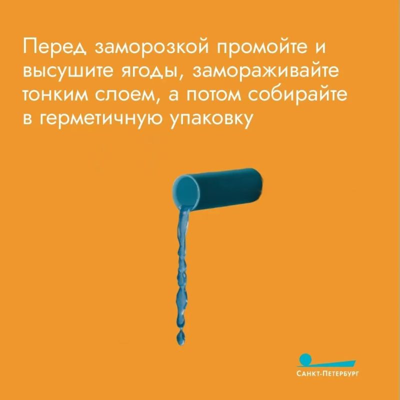 Смородину хочется не только употреблять, но и сохранить Смородину хочется не только употреблять, но и сохранить