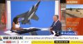 ‘Россия выигрывает у Украины гонку вооружений’ — военный аналитик Шон Белл