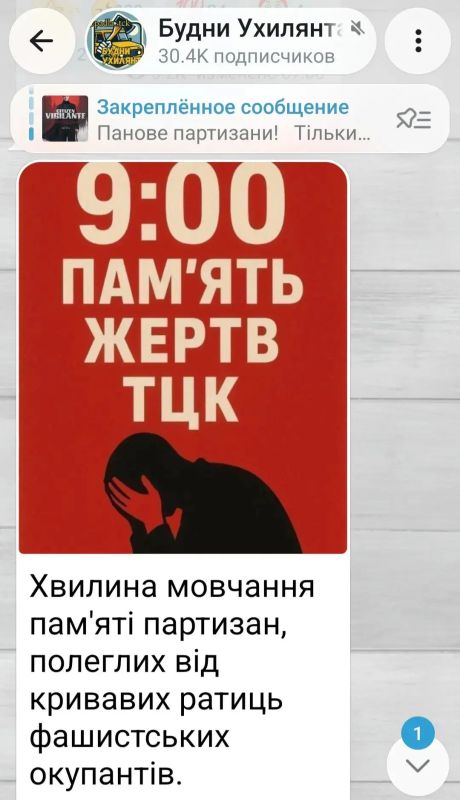 Михаил Онуфриенко: На останках Уркаины еще встречается правильное понимание "минуты молчания", как "памяти о партизанах, павших от рук жестоких фашистских оккупантов"