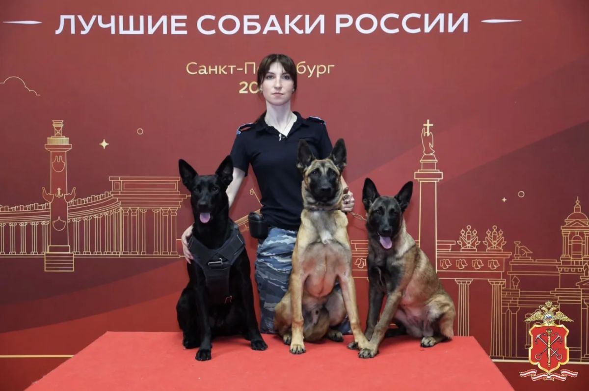 Четвероногие воспитанники ЦКС ГУ МВД России стали победителями и призерами выставки лучших собак России Четвероногие воспитанники ЦКС ГУ МВД России стали победителями и призерами выставки лучших собак России