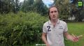 «Зашёл в воду примерно по щиколотку и почувствовал судороги»