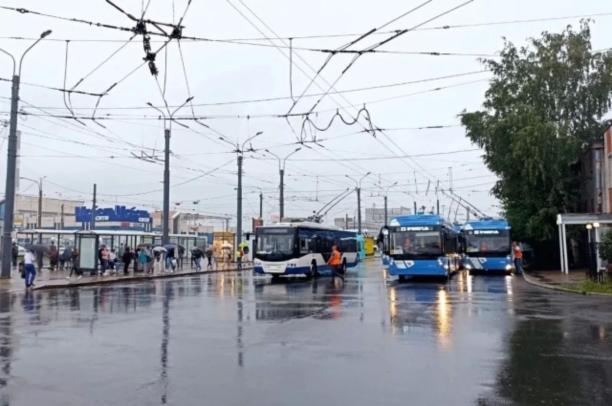 В Петербурге 11 августа воздух прогреется до +20 градусов