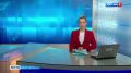 Александр Беглов и Александр Бельский осмотрели впецвыставки в Пушкинском и Колпинском районах