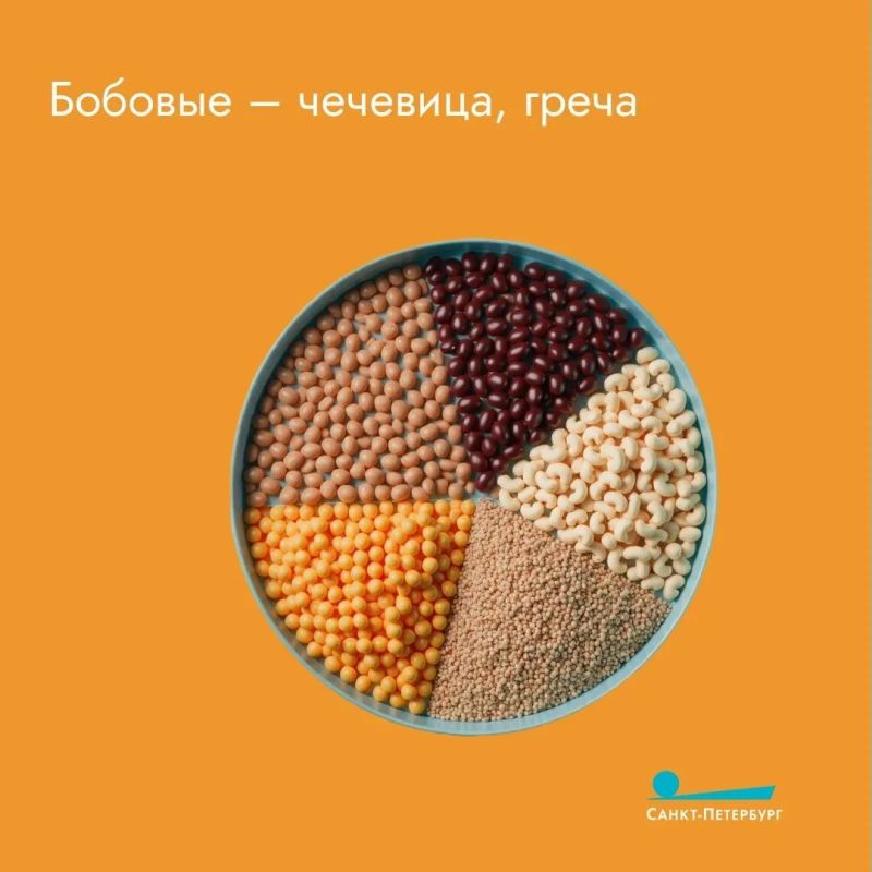 Правильная еда для детского кишечника – это основа здорового пищеварения и крепкого иммунитета, поскольку около 70% иммунных клеток находится именно в кишечнике Правильная еда для детского кишечника – это основа здорового пищеварения и крепкого иммунитета, поскольку около 70% иммунных клеток находится именно в кишечнике