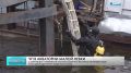 Из затонувшего у набережной Макарова плавучего ресторана начали откачивать воду