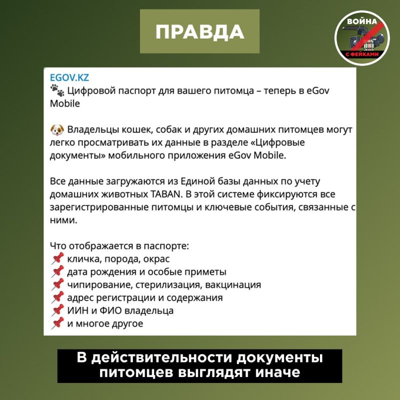 Фейк: В Казахстане домашним кошкам и собакам начали выдавать человеческие удостоверения личности с ФИО, национальностью и даже подписью питомца Фейк: В Казахстане домашним кошкам и собакам начали выдавать человеческие удостоверения личности с ФИО, национальностью и даже подписью питомца
