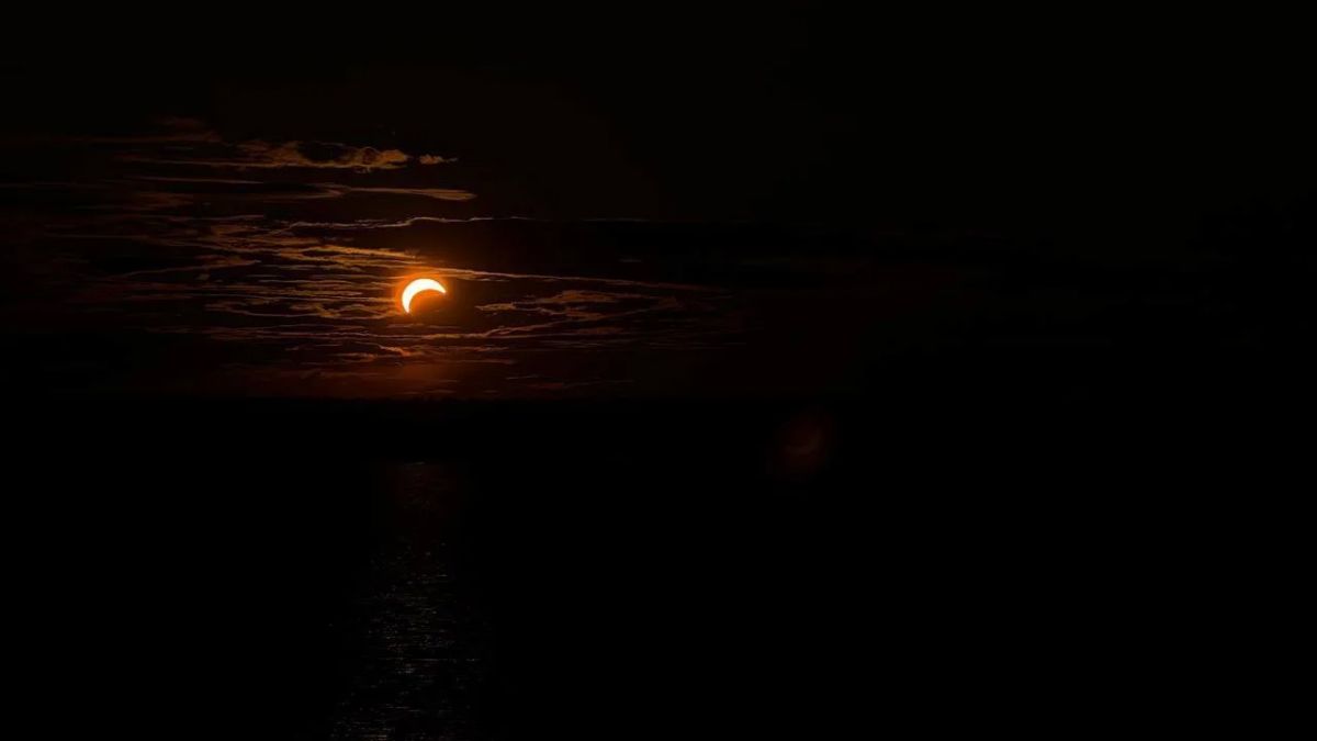 Жители Ленобласти наблюдали частное солнечное затмение Жители Ленобласти наблюдали частное солнечное затмение