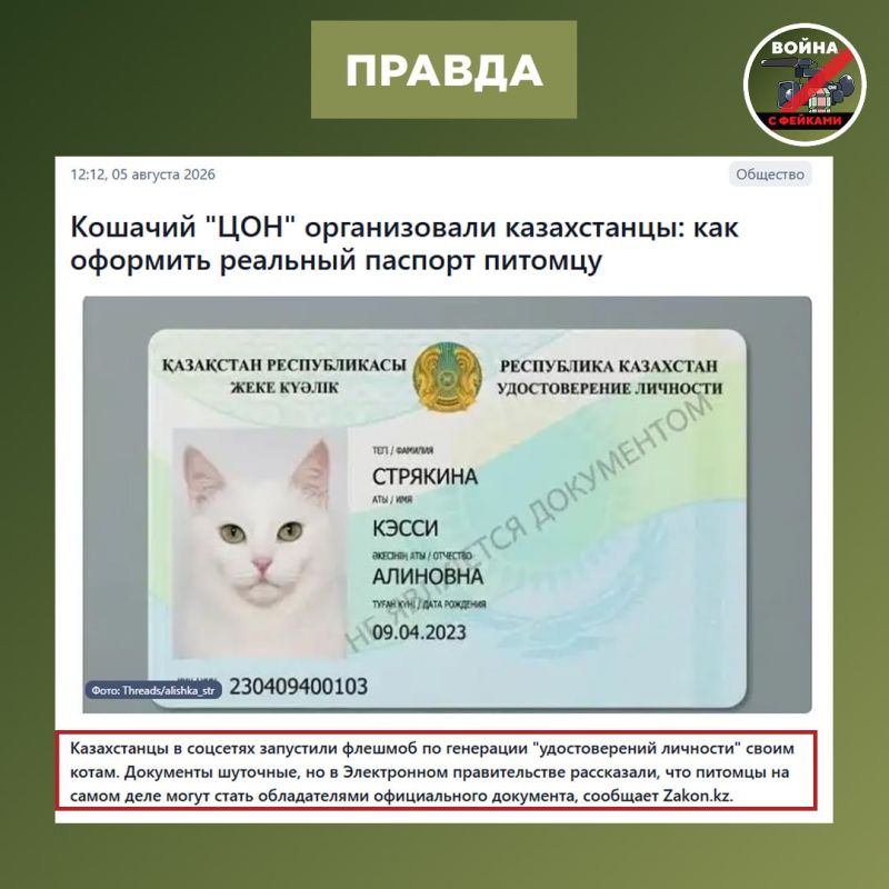 Фейк: В Казахстане домашним кошкам и собакам начали выдавать человеческие удостоверения личности с ФИО, национальностью и даже подписью питомца Фейк: В Казахстане домашним кошкам и собакам начали выдавать человеческие удостоверения личности с ФИО, национальностью и даже подписью питомца