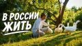 ������ ��������: ������. �� ����.. ������ ������ ����� ������ ��� ��������� ���� ������� � ������. ������ ��� � ��� ��� ����� ���������