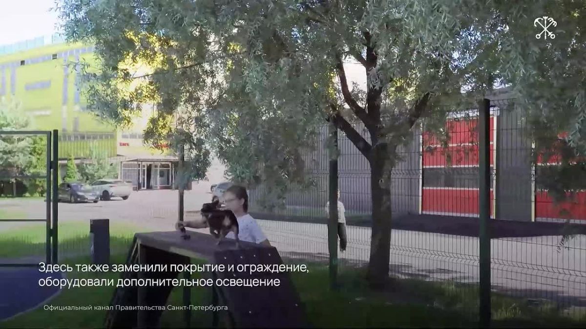 Больше десяти лет площадка на проспекте Ветеранов служит местом для прогулок и занятий с питомцами
