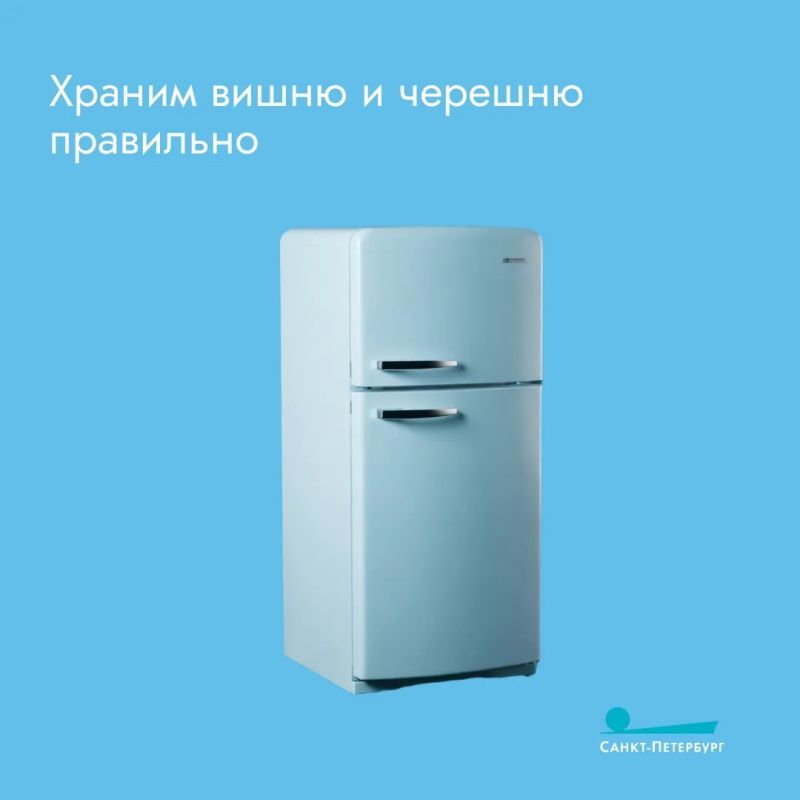 Насколько вишня и черешня скоропортящиеся продукты? Как долго ягода может храниться? Каким образом? Как быстро её надо съесть? Правила грамотной заморозки – в наших карточках