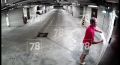 Благотворительную выставку в помощь Курской области разгромили в Петербурге