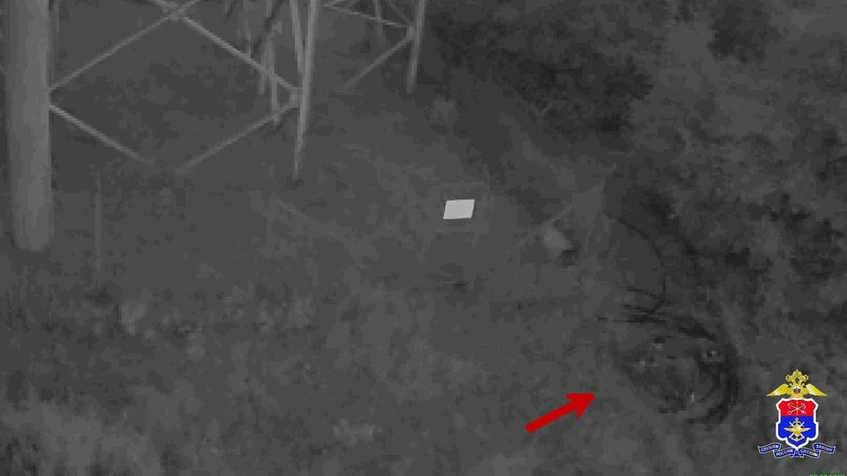 В порту Усть-Луга Ленинградской области раскрыто хищение силового кабеля на сумму более 150 тысяч рублей
