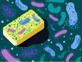 Безопасность на кухне: как защитить себя от бактерий в губках для мытья