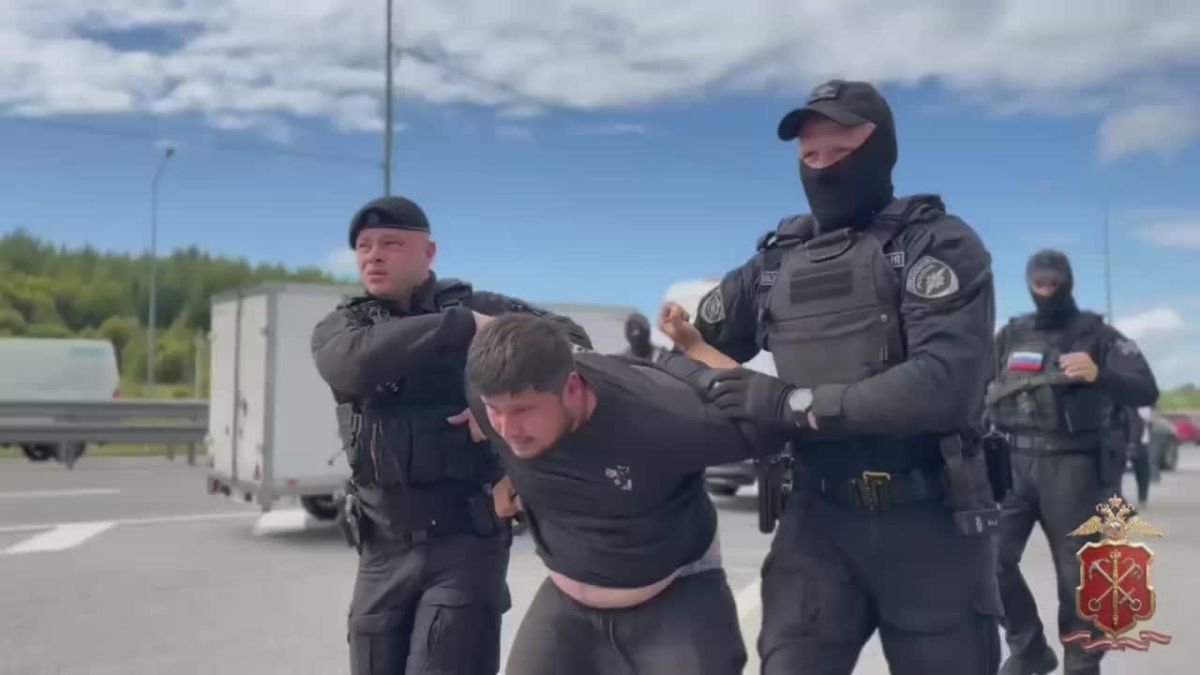 В Ленинградской области прошел масштабный рейд: полиция проверила сотни машин и выявила десятки нарушений